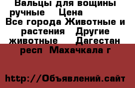 Вальцы для вощины ручные  › Цена ­ 10 000 - Все города Животные и растения » Другие животные   . Дагестан респ.,Махачкала г.